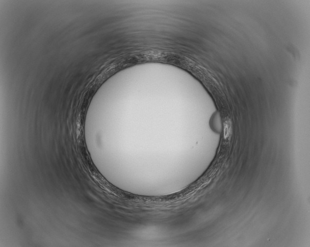 X0000112821011200908210956