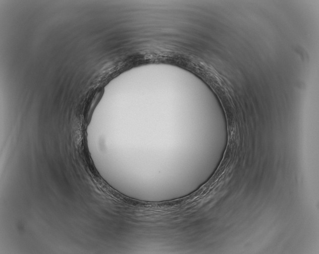 X0000112821012200908210956