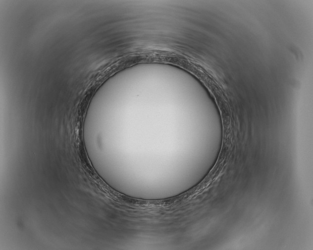 X0000112821013200908210956