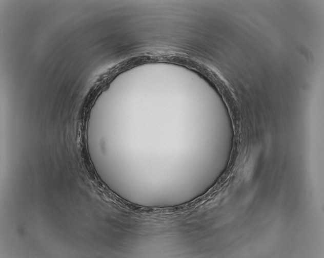 X0000112821016200908210956