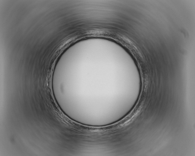 X0000112821017200908210956