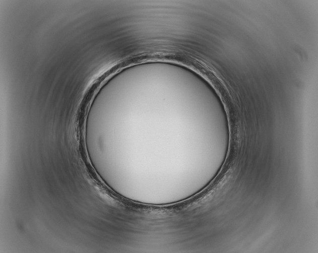 X0000112821018200908210956