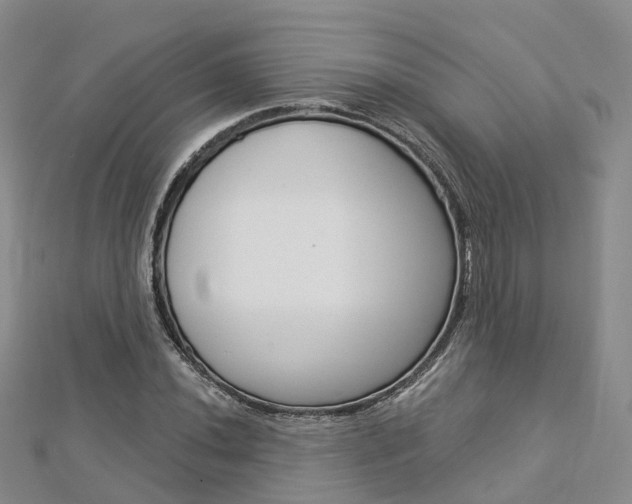 X0000112821020200908210956