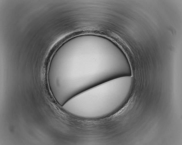 X0000112821021200908210956