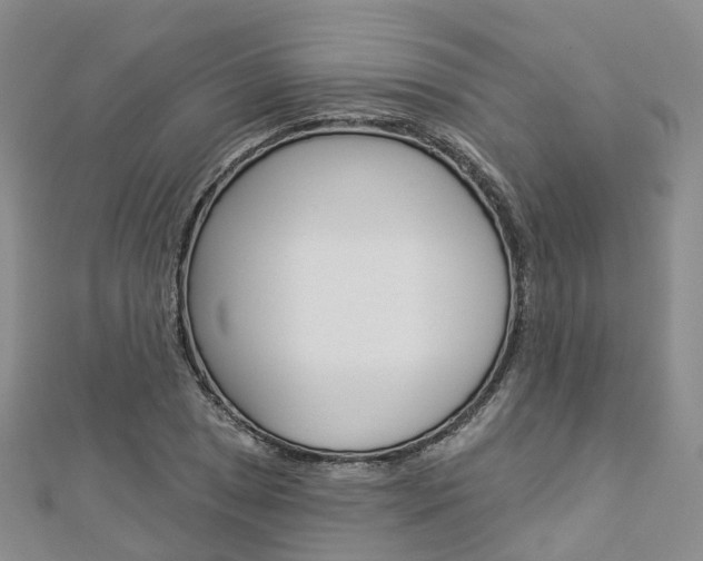 X0000112821025200908210956