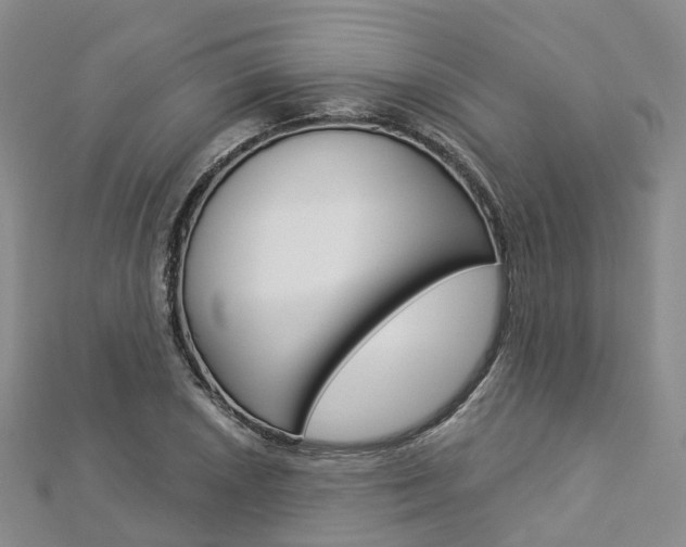 X0000112821026200908210956