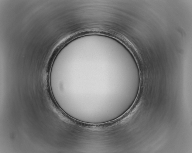 X0000112821029200908210956