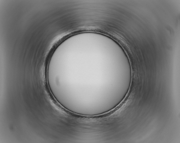 X0000112821030200908210956
