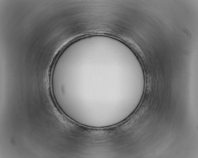 X0000112821031200908210956