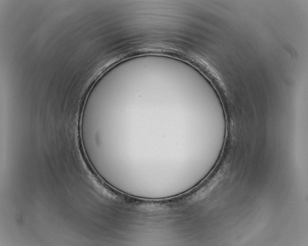 X0000112821033200908210956
