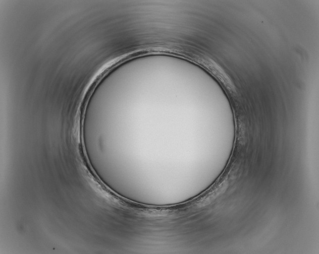 X0000112821036200908210956