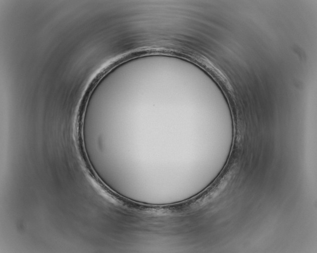 X0000112821037200908210956