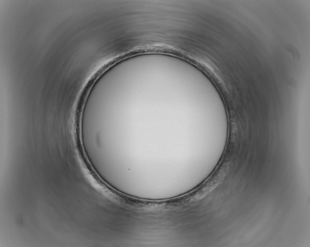 X0000112821038200908210956