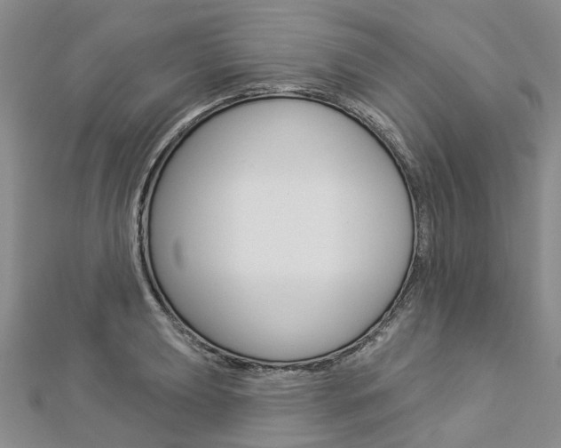 X0000112821039200908210956