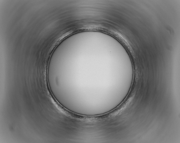 X0000112821041200908210956