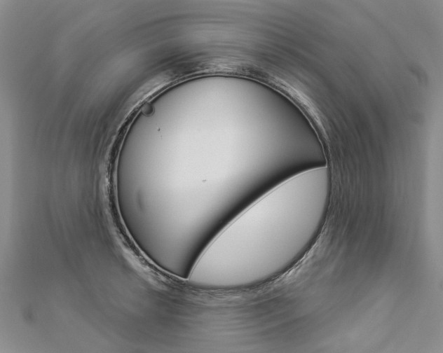 X0000112821042200908210956