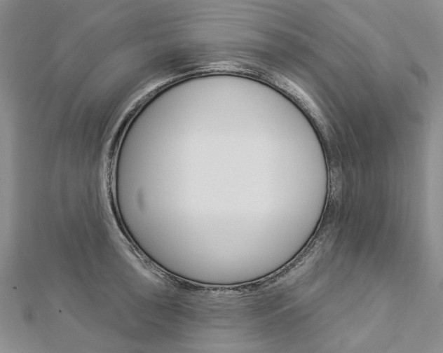 X0000112821043200908210956