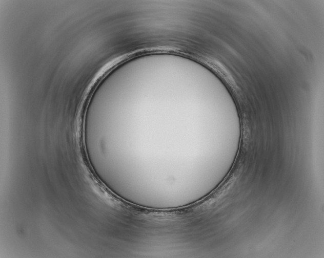 X0000112821044200908210956