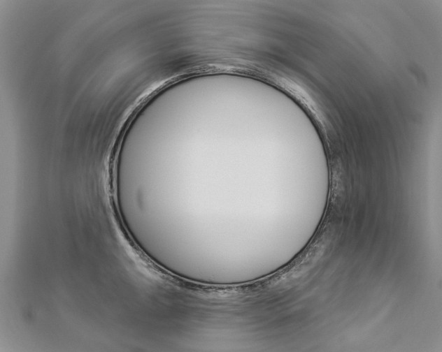 X0000112821047200908210956