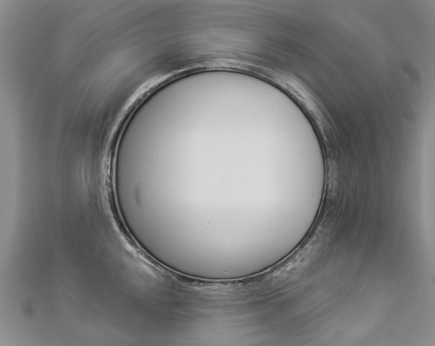 X0000112821048200908210956