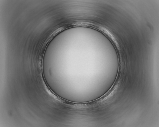 X0000112821049200908210956