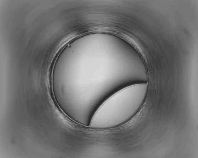 X0000112821050200908210956