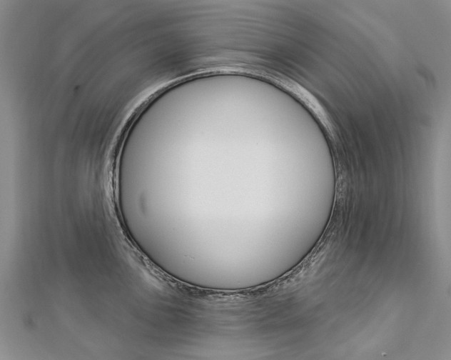 X0000112821051200908210956