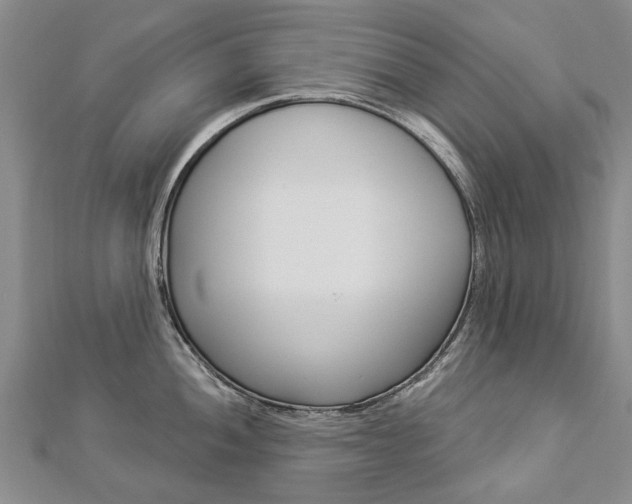 X0000112821052200908210956