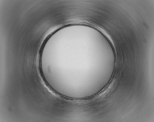 X0000112821053200908210956