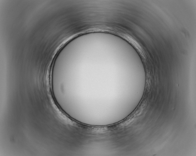 X0000112821055200908210956