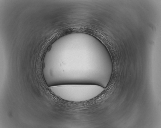 X0000112821057200908210955
