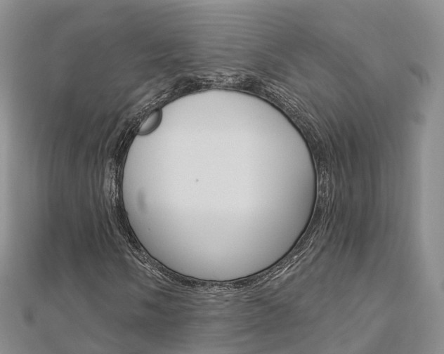 X0000112821058200908210955