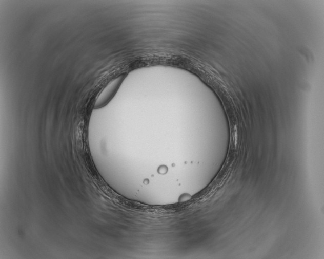 X0000112821059200908210955