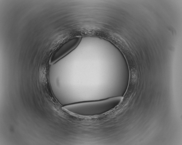 X0000112821060200908210955