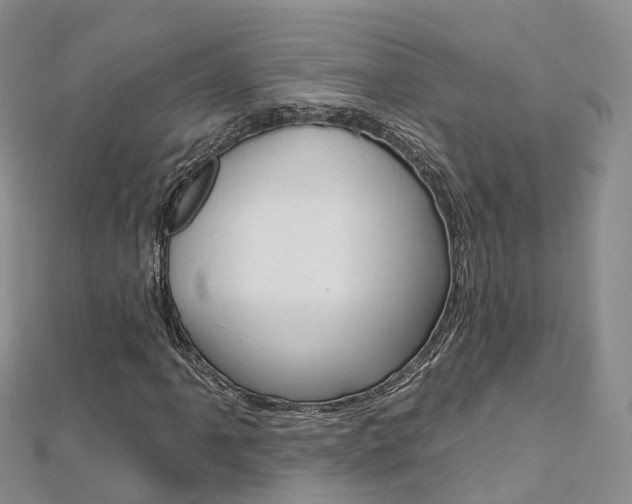 X0000112821061200908210955