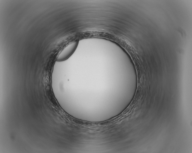 X0000112821062200908210955