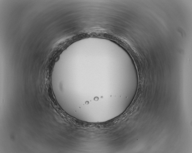 X0000112821063200908210955