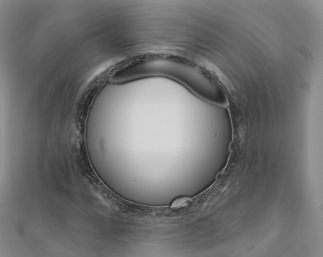 X0000112821064200908210955