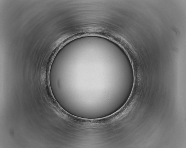 X0000112821065200908210955