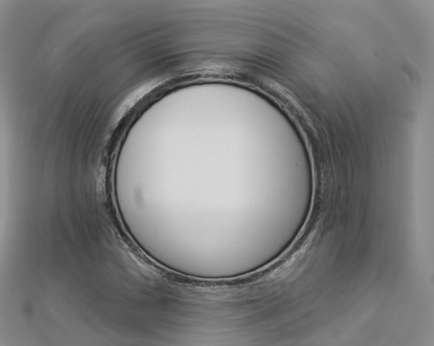 X0000112821066200908210955