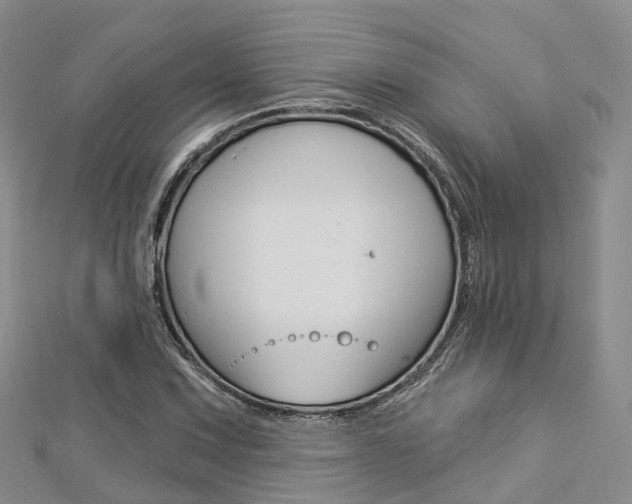 X0000112821067200908210955