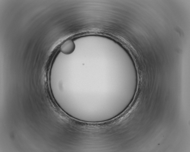 X0000112821070200908210955