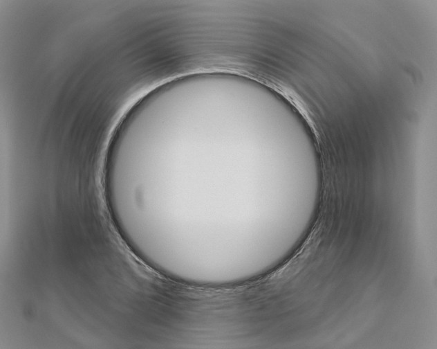 X0000112821072200908210955