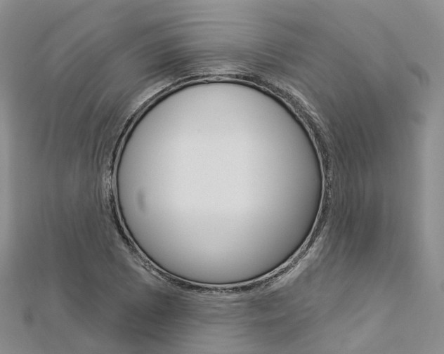 X0000112821073200908210955