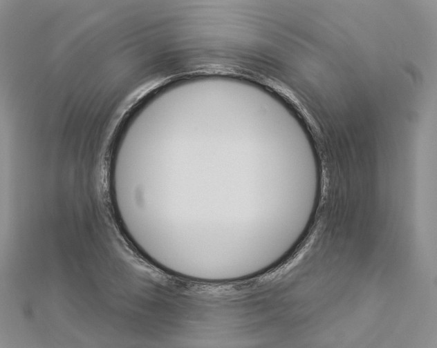 X0000112821074200908210955