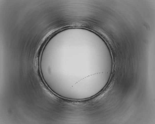 X0000112821075200908210955