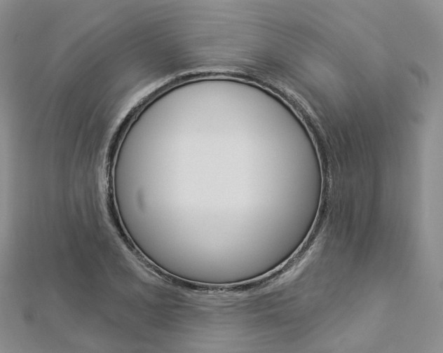 X0000112821077200908210955