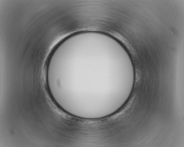 X0000112821078200908210955
