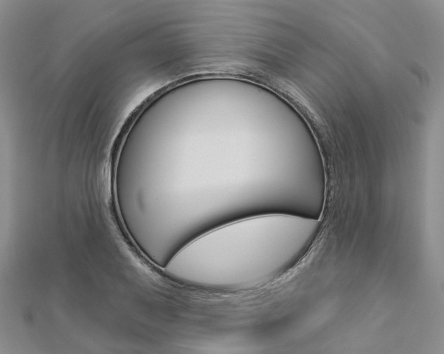X0000112821079200908210955