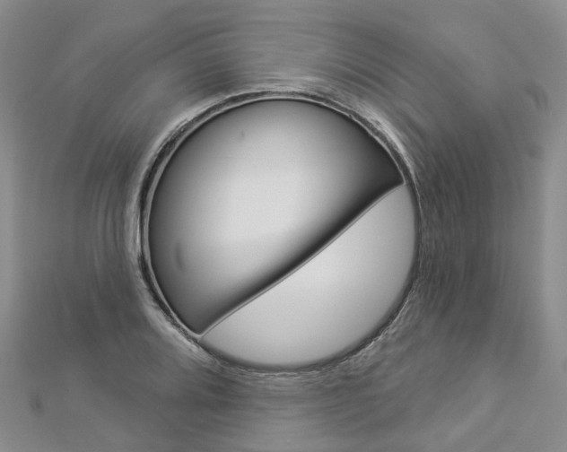 X0000112821080200908210955